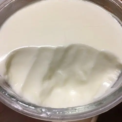 Yogurt 2 1
